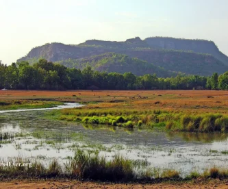 a-waterhole-in-banhavgargh